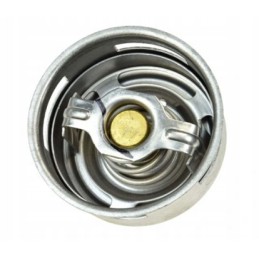 Thermostat c 330 50000820