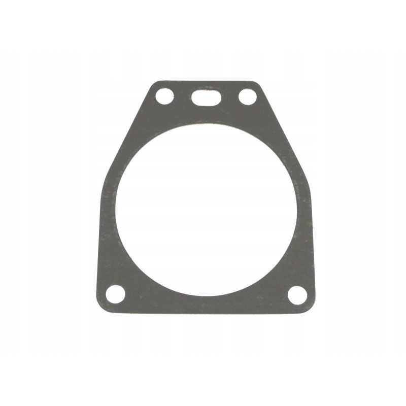 Injection pump gasket 501006315