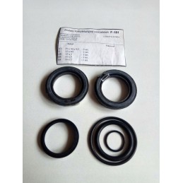 Seal of the Ursus F 181 auxiliary cylinder