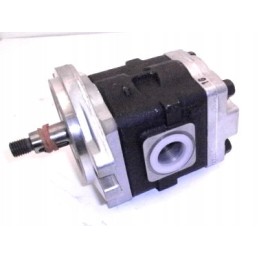 Dsg0516f2h9l181 hydraulic gear pump