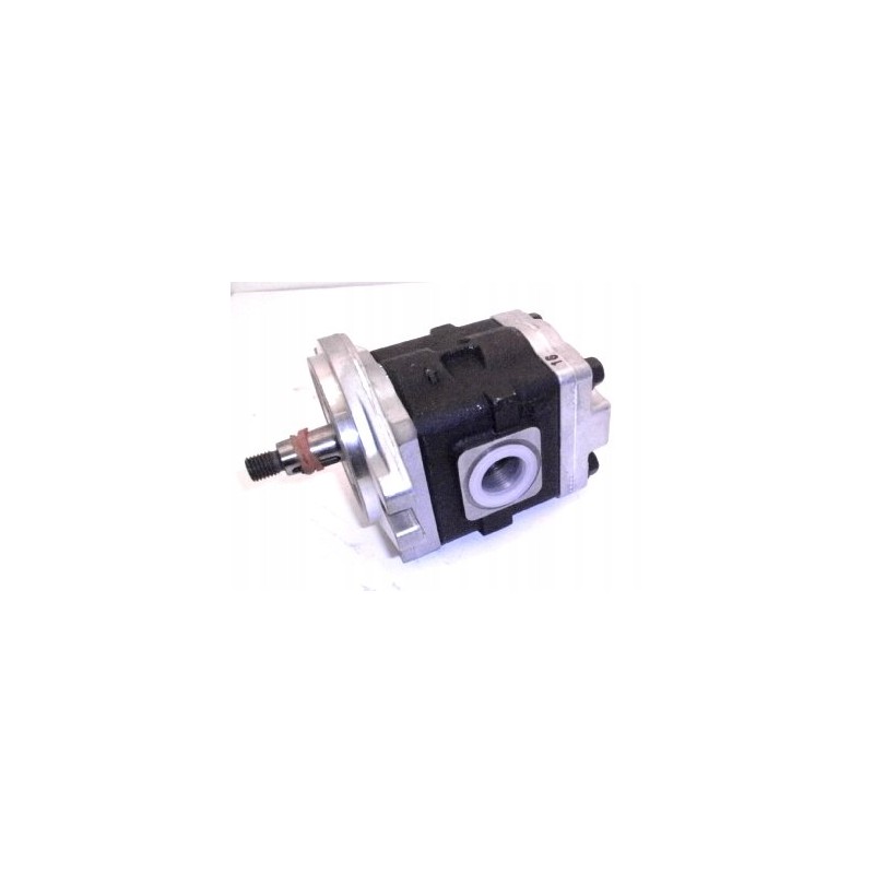 Dsg0516f2h9l181 hydraulic gear pump
