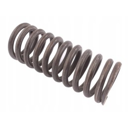 Brake spring 80126053