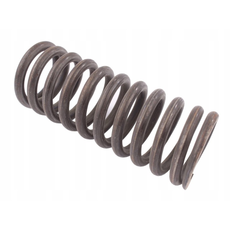 Brake spring 80126053