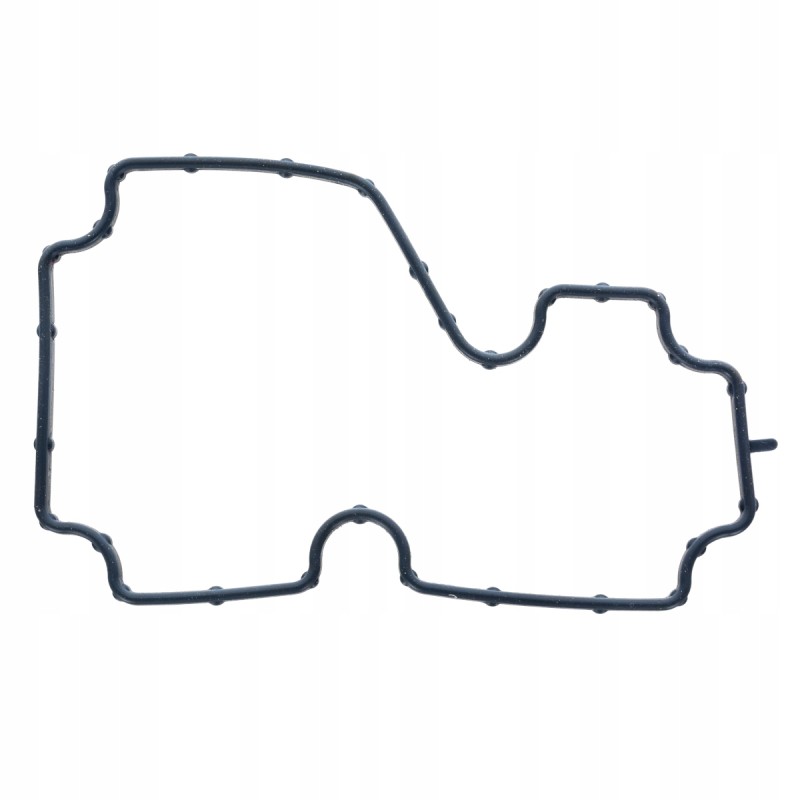 Thermostat gasket massey ferguson 4224961m1