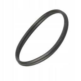 Seal cnh new holland 500315795