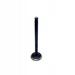 Exhaust valve mitsubishi s4l s4l2