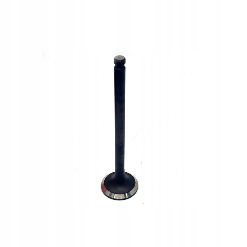 Exhaust valve mitsubishi s4l s4l2