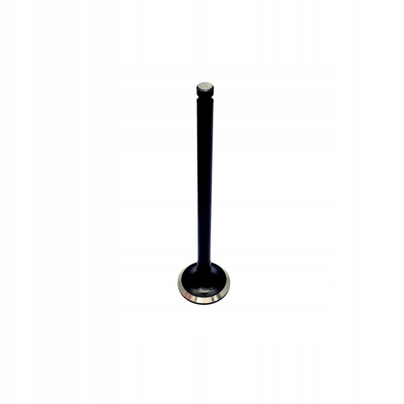 Mitsubishi k3d k4d exhaust valve