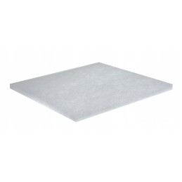Air filter cat 1466388