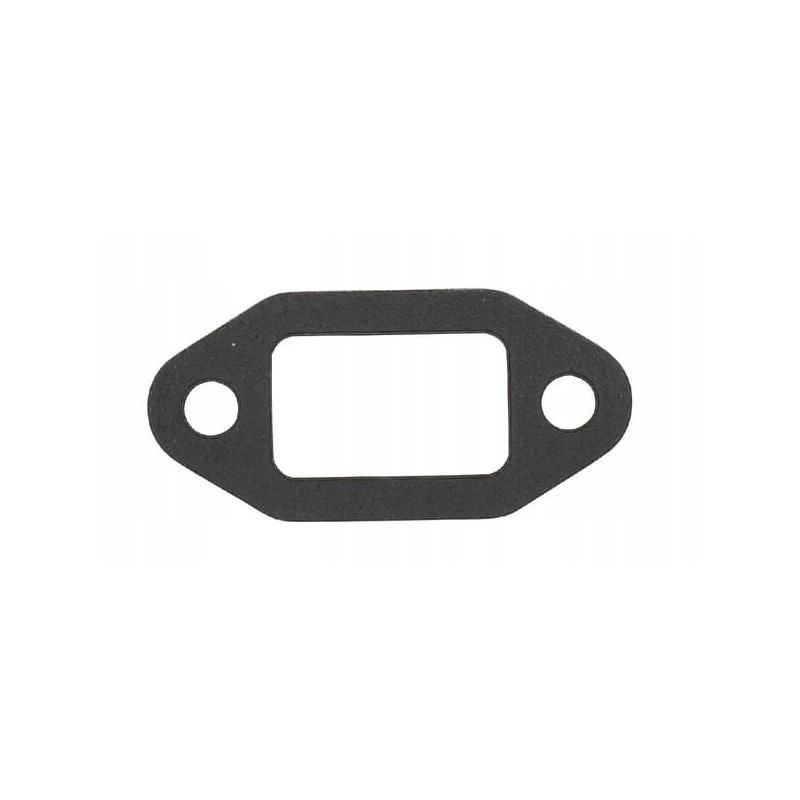 Water pump gasket 4501158