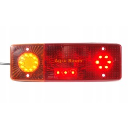 Left rear combination lamp