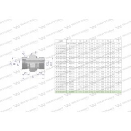 Hydraulic connection xge bb m36x2 25sx1 warynski