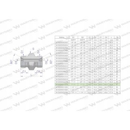 Inch bb 1 BSP Warynski hydraulic connector