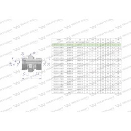 Metric hydraulic connection bb xge m12x1 5