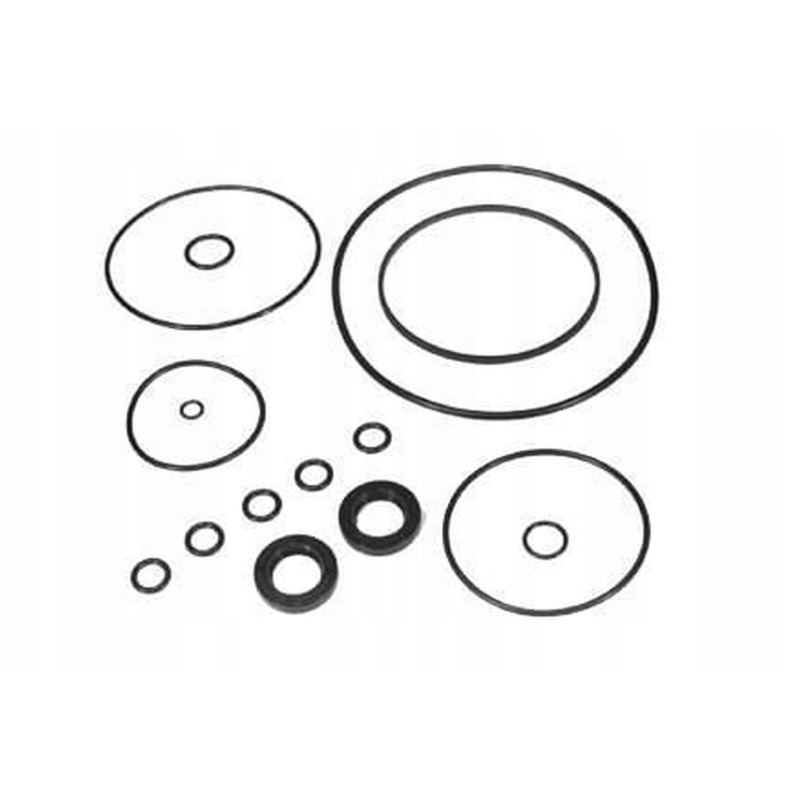 Vpj4019 repair kit for the power steering pump