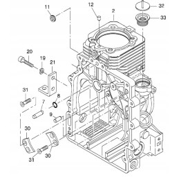 Hatz 1b20 1b30 bearing pressure screw 50564300