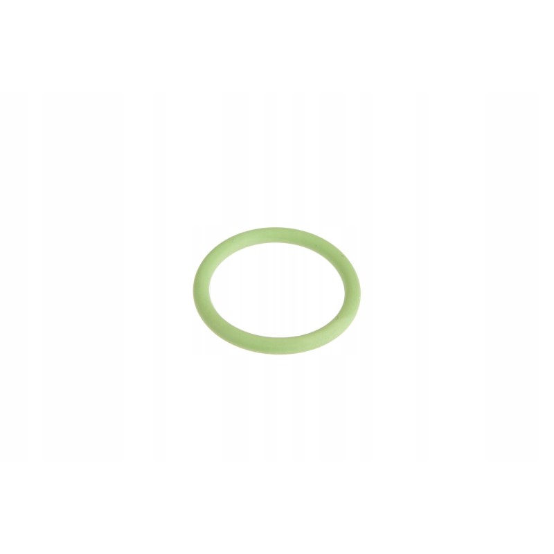 F931962025160 check valve seal