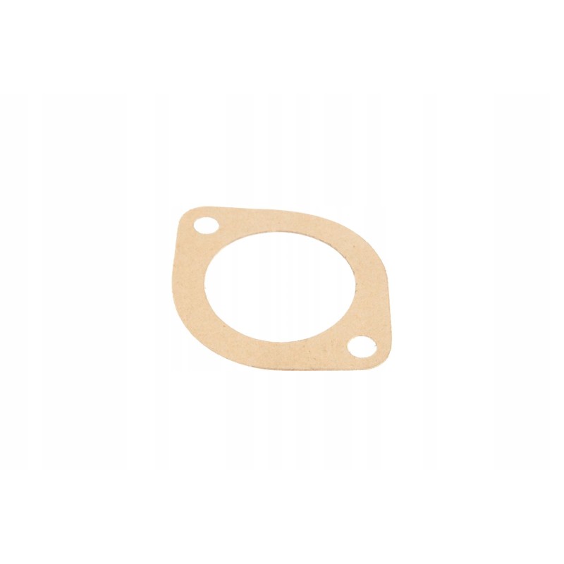 40006869 thermostat gasket