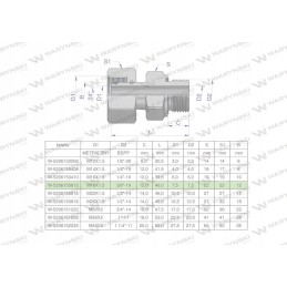 Hydraulic connection ab evge m18x1 5 12l x 3 8
