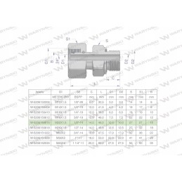 Hydraulic connection ab evge m22x1 5 15l x 1 2
