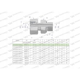 Hydraulic connection ab evge m12x1 5 06l x 1 8
