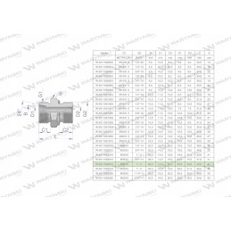 Hydraulic connection bb xge m36x2 28l2 28l x 1