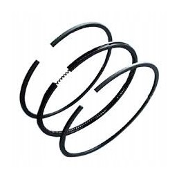 4181a026 std rings perkins 1004 4t 1006 6t