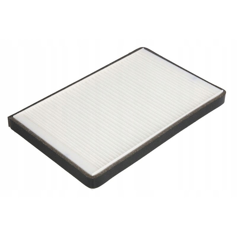 Fleetguard AF55861 cabin filter