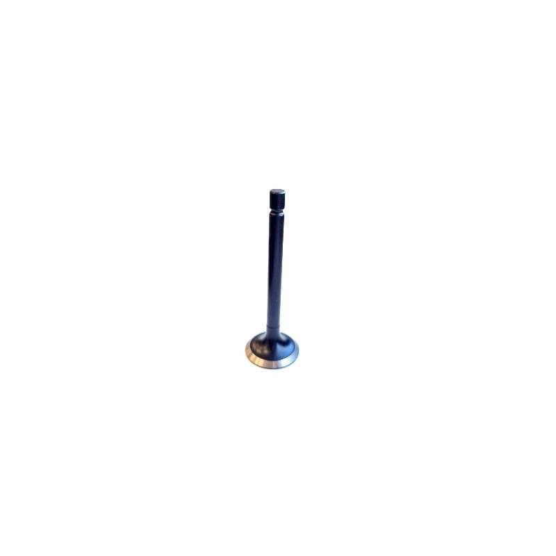 Exhaust valve iseki e3100 e3112 e393 45