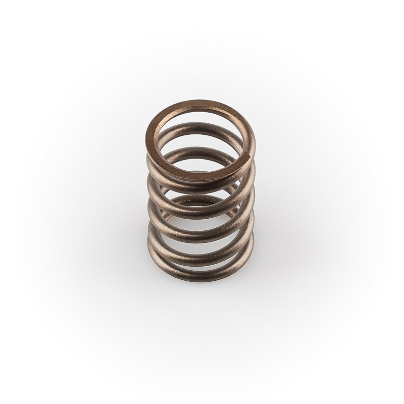 Hatz 1d60 1d81 valve spring 04005300