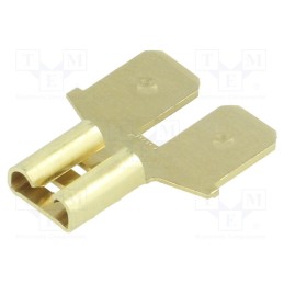 2 pcs x TE Connectivity - 61765-1 - Terminal: flat, 6.3mm, 0.8mm, 1 x female,2 x male, none, brass