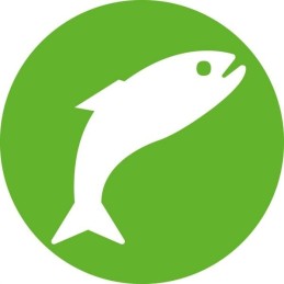 Disposable syringe hsw norm ject 2ml 3ml pack