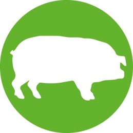 Disposable syringe hsw norm ject 2ml 3ml pack