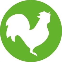 Disposable syringe hsw norm ject 2ml 3ml pack