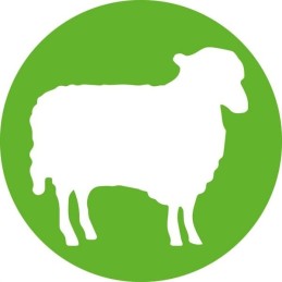 Disposable syringe hsw norm ject 2ml 3ml pack