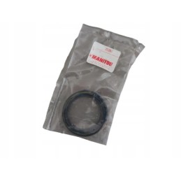 25395 sealing ring seal