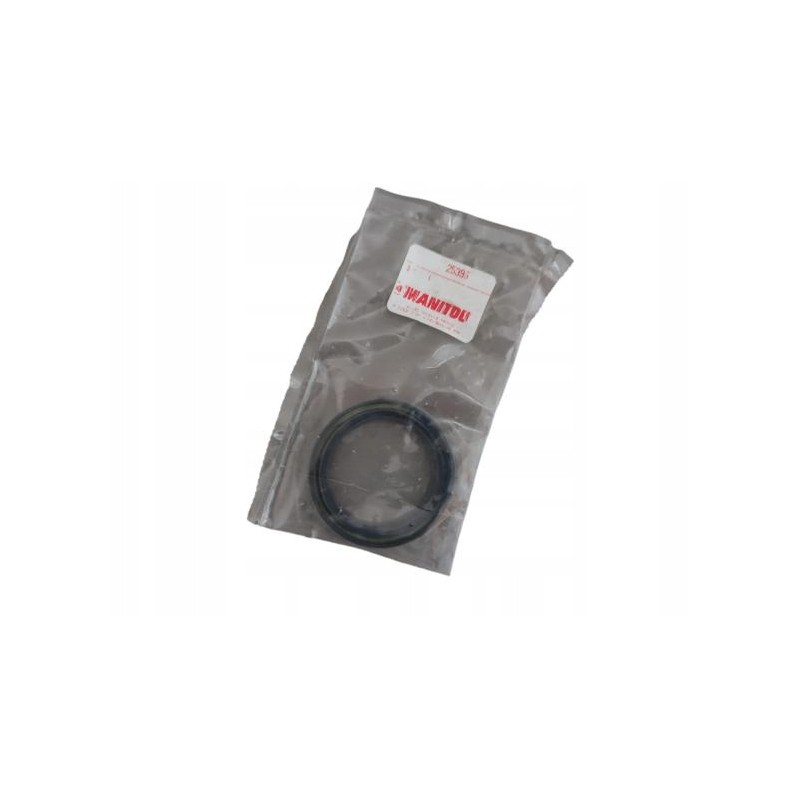 25395 sealing ring seal