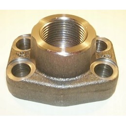 3 4 3000 series flange 3 4 bsp