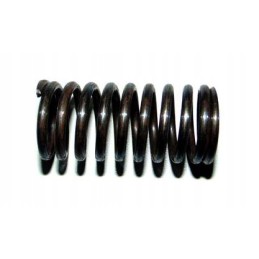 Valve spring internal t25