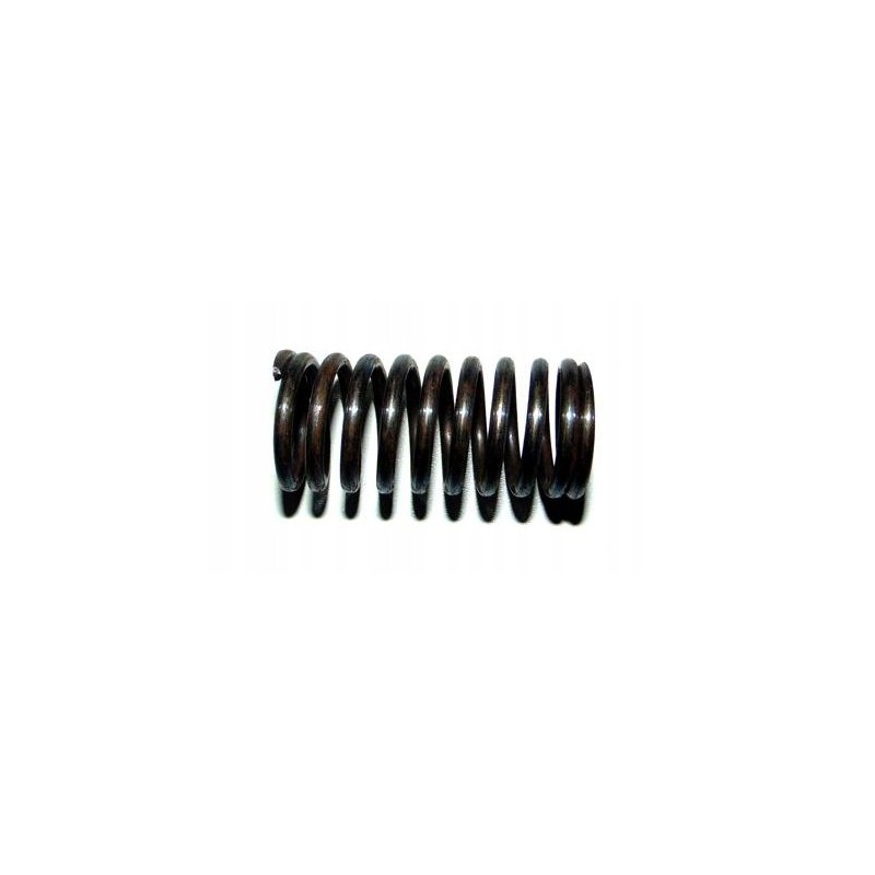 Valve spring internal t25