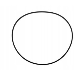 Brake cylinder o-ring 81875252 case