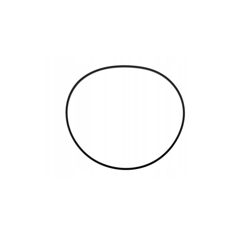 Brake cylinder o-ring 81875252 case