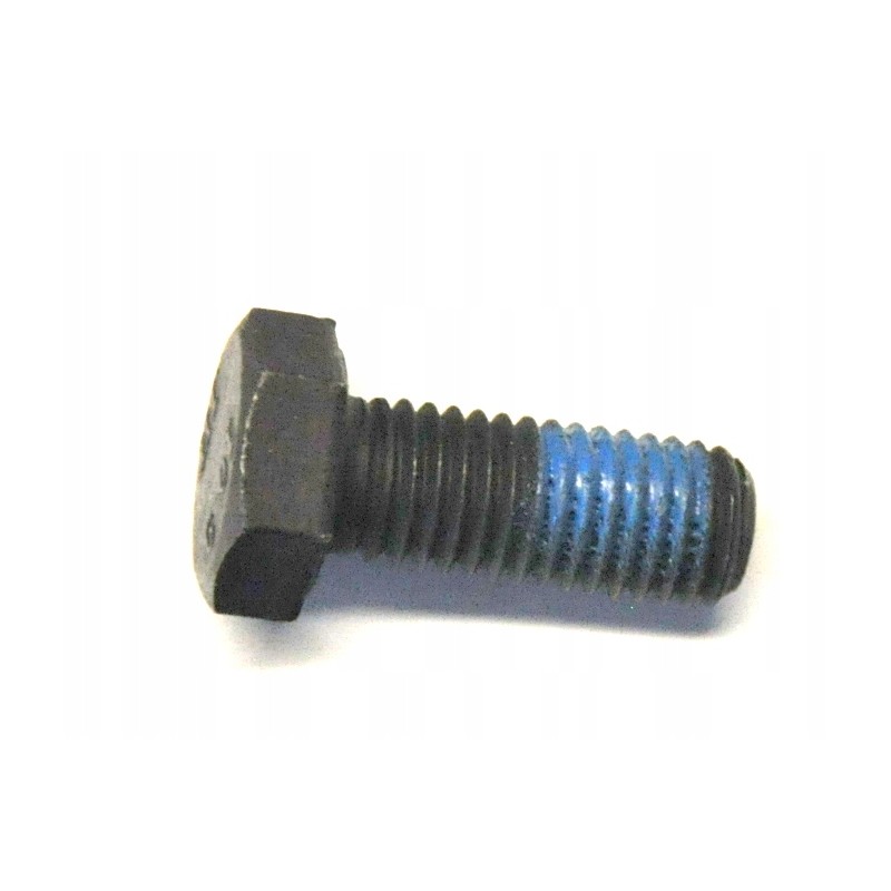 Manitou hex head screw 161810 kp
