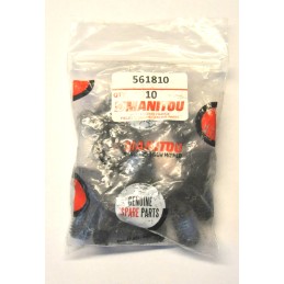 Manitou hex head screw 161810 kp