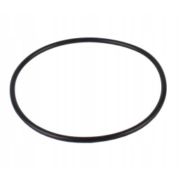 Hawe atlas pos 11 dome seal