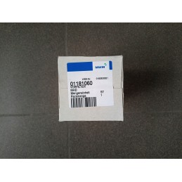 Fuel filter 01181060 original Deutz primary insert