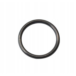 Oring 302824 cat