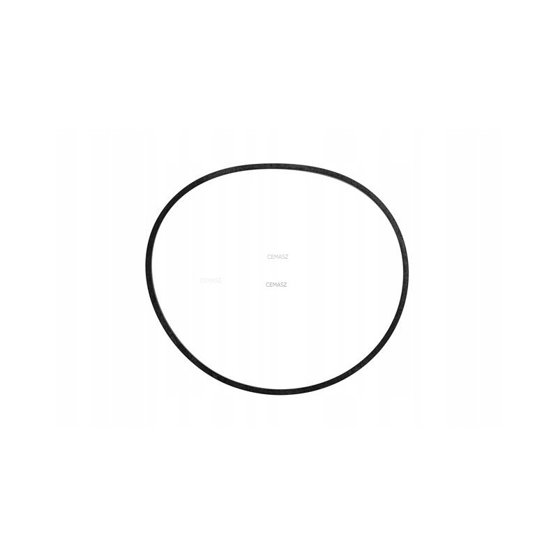 O-ring, bridge seal, rear for cat