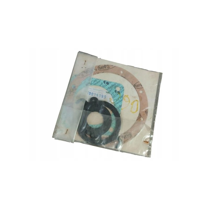 10014195 gasket set varisco j 90 2 twg