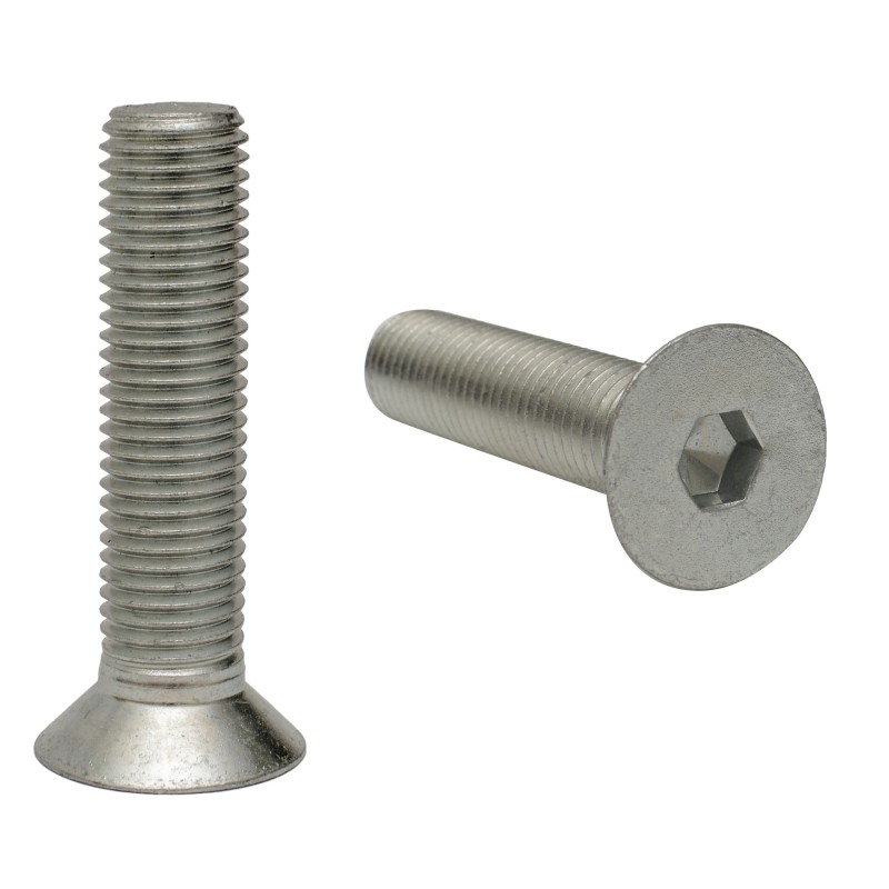 Screw to fasten the tooth